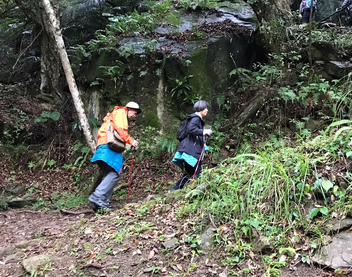 錐麓古道風光圖片